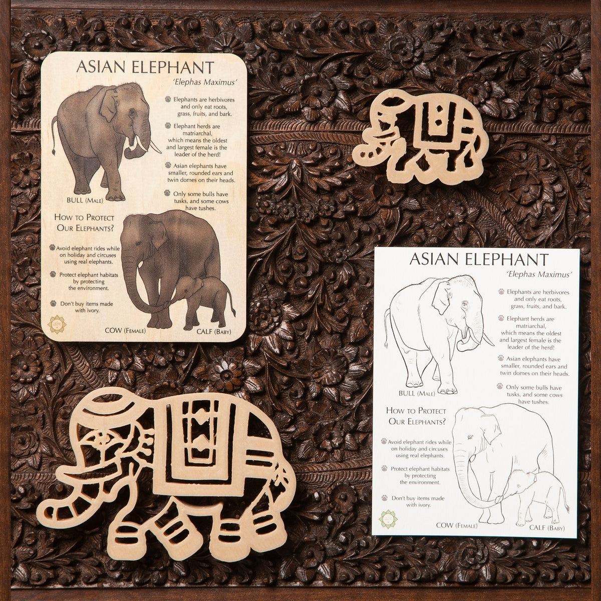 Sensory Elephant Pattern Asian Elephant Sensory Pack - Eco Cutter™, Timber Tile, And Color In C