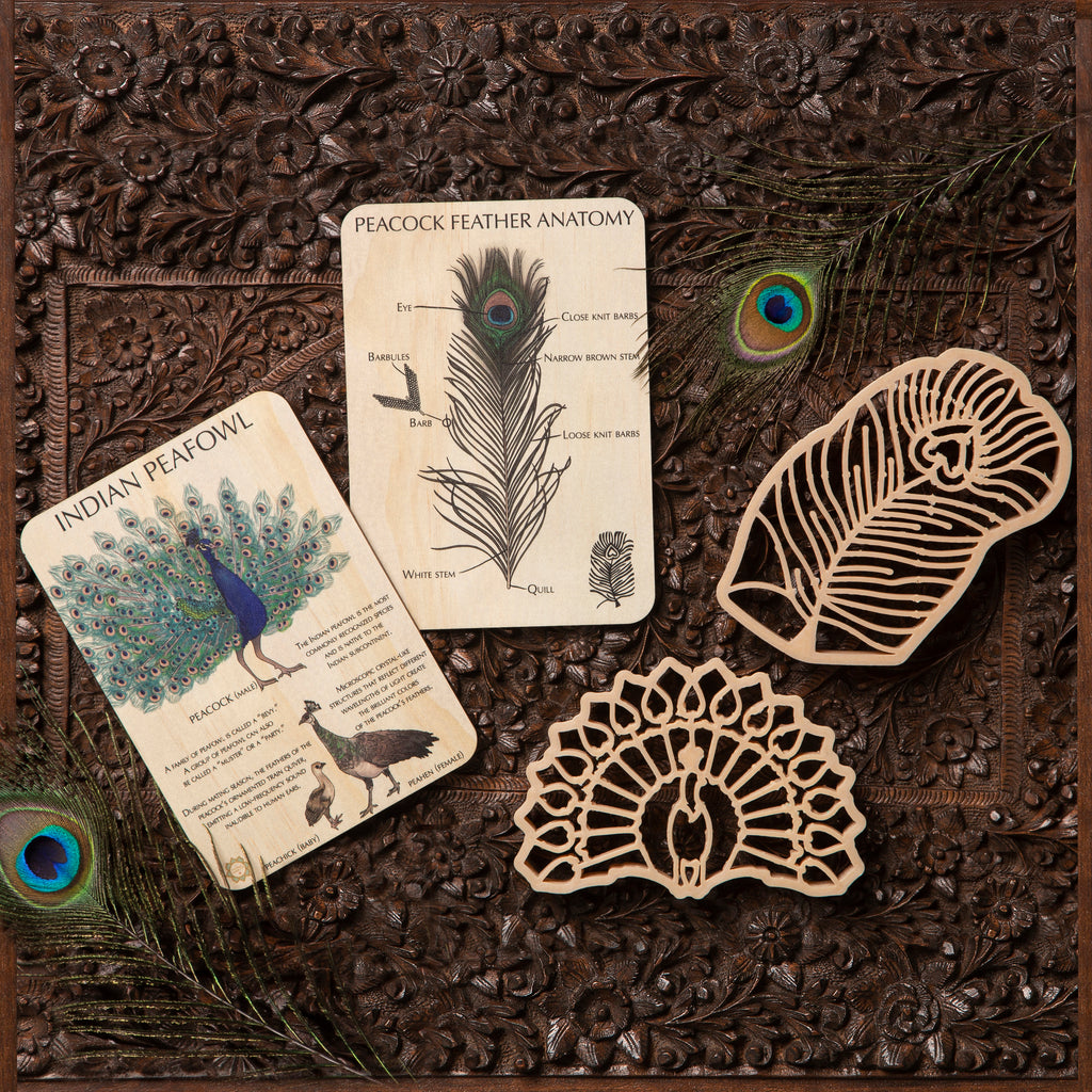 Indian Peacock Sensory Pack - Eco Cutter™ Set of 2, Timber Tile, and Color In Card