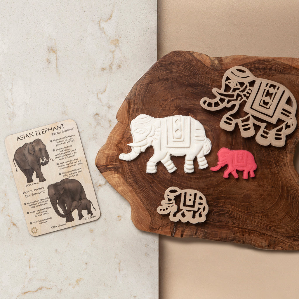 Asian Elephant Sensory Pack - Eco Cutter™, Timber Tile, And Color In Card